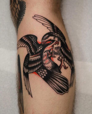 Florian_photo_2026-01-04 (21)