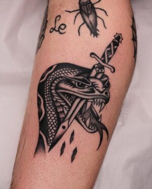 Florian_photo_2026-01-04 (3)