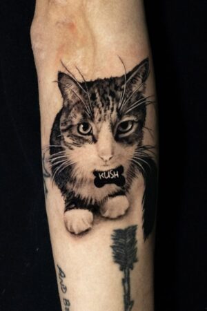 Photo 12-7-25 17 09 42 Photo 12-7-25 17 09 42